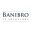 banibro_itsolutions_logo